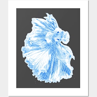 betta fish sketch Posters and Art